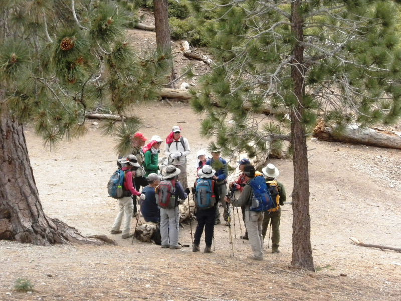 Timber101710 103.jpg